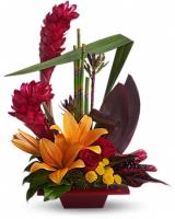 Englewood Florist & Flower Delivery image 3